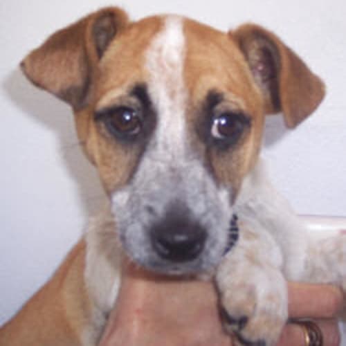 No photo for California