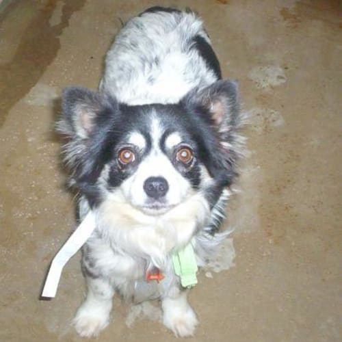 No photo for Juanita