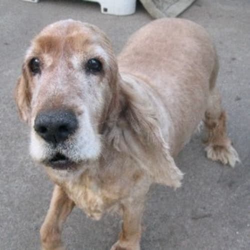 No photo for Patrick