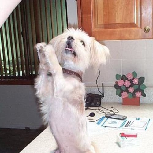 No photo for Chloe