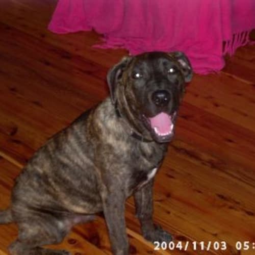 No photo for Zeus