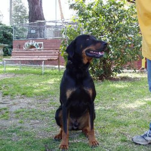 No photo for Chester