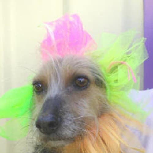 No photo for Gabriel