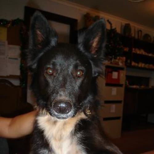 No photo for Jedda