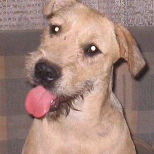 No photo for Whitney