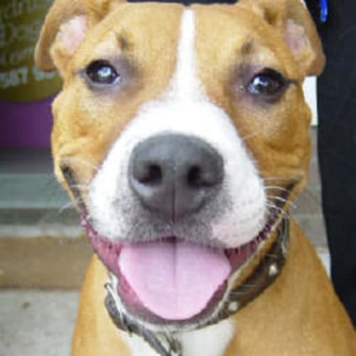 No photo for Russell