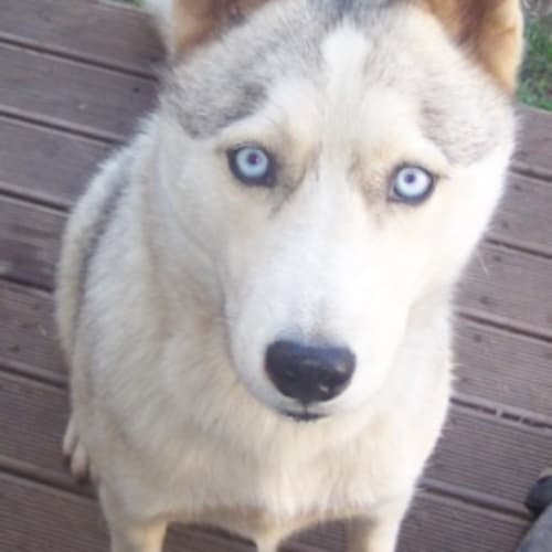No photo for Max And Kaiser