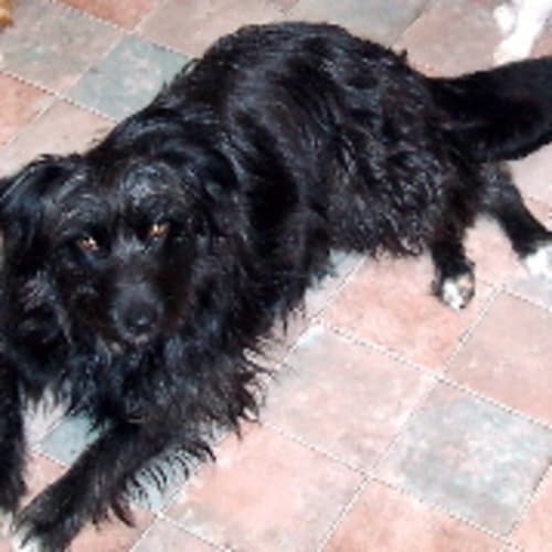 No photo for Ebony