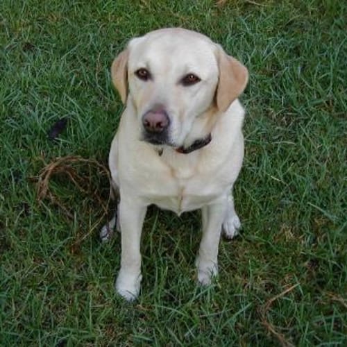 No photo for Gemma