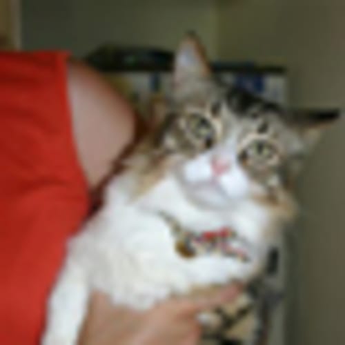 No photo for Misty