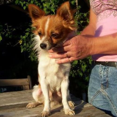 No photo for Alvin