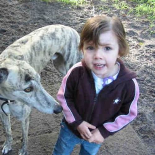 No photo for Wolfie