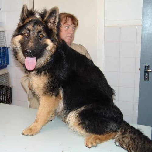 No photo for Anka