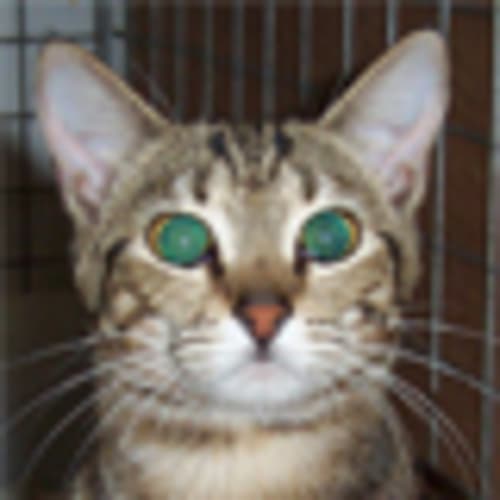 No photo for Tabitha