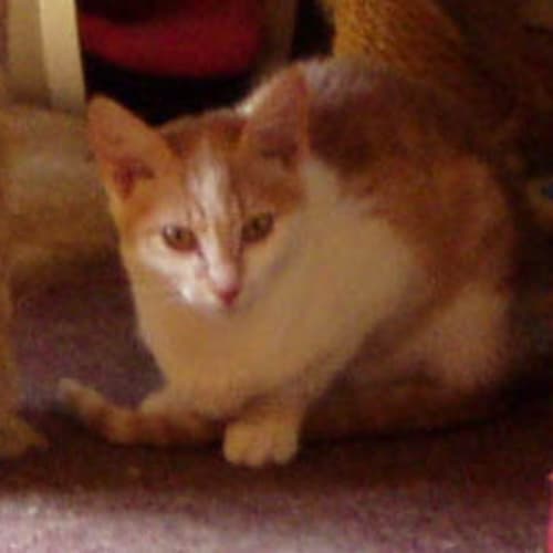 No photo for Jason