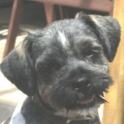 Benson