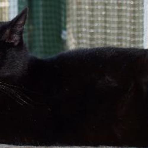 No photo for Hester