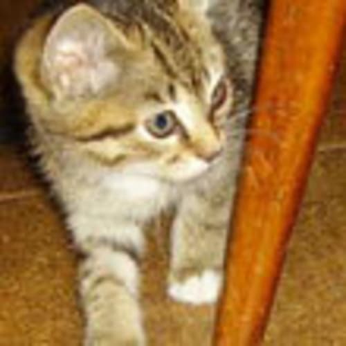 No photo for Meredith