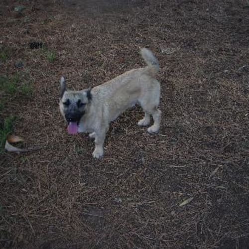 No photo for Fritz