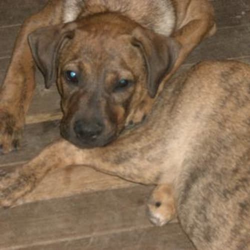 Happy Birth Day Morgan Theo