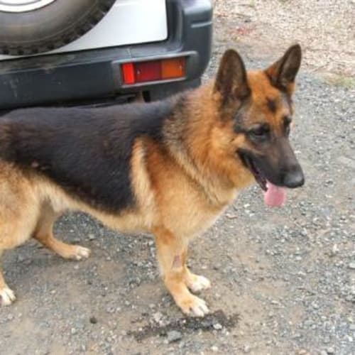 Max