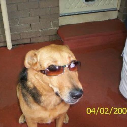 Stud