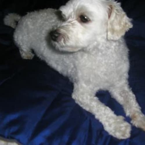 No photo for Humphrey