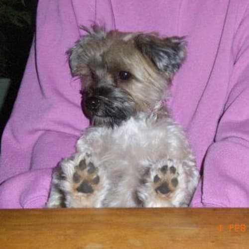 No photo for Bonnie