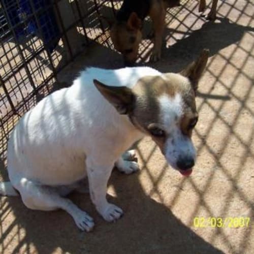 No photo for Barlow