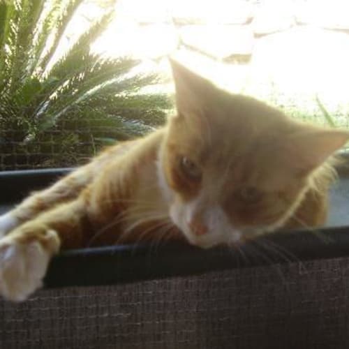 No photo for Jarrah