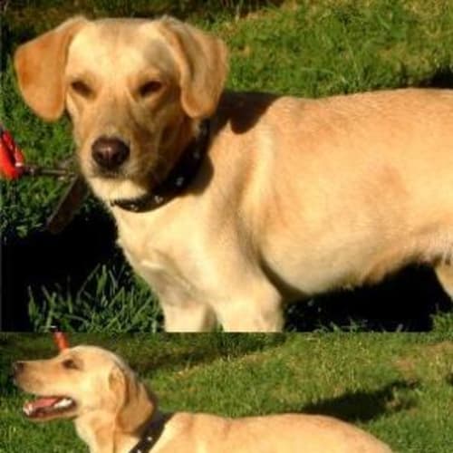 No photo for Phoebe