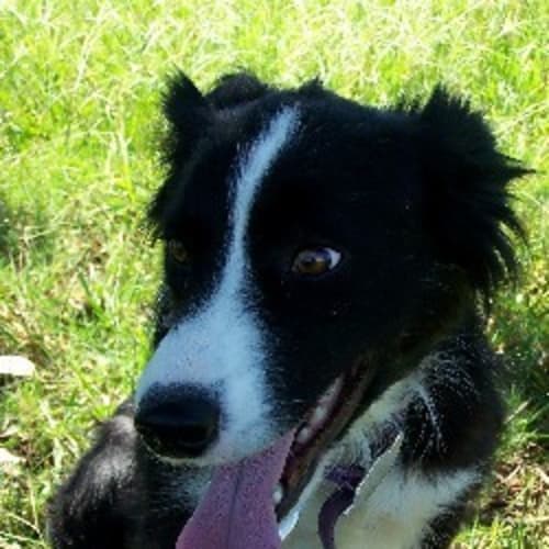 No photo for Bonnie   On Trial