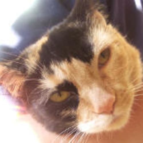 No photo for Matilda