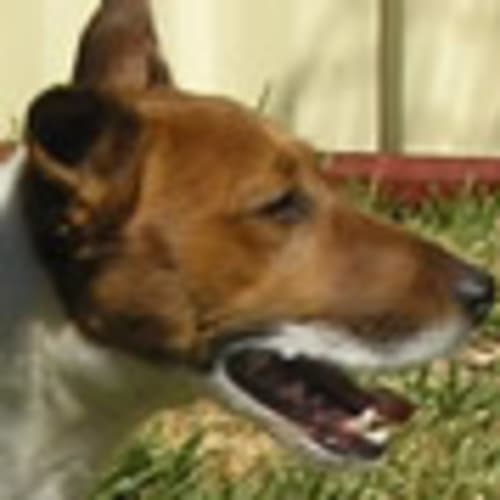 No photo for Bacchus