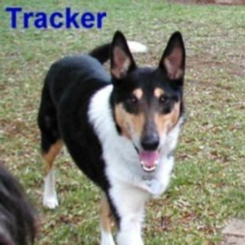 Tracker