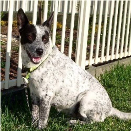 No photo for Lilly   On Trial