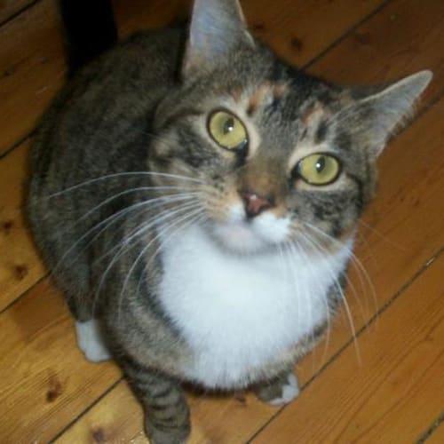 No photo for Matilda