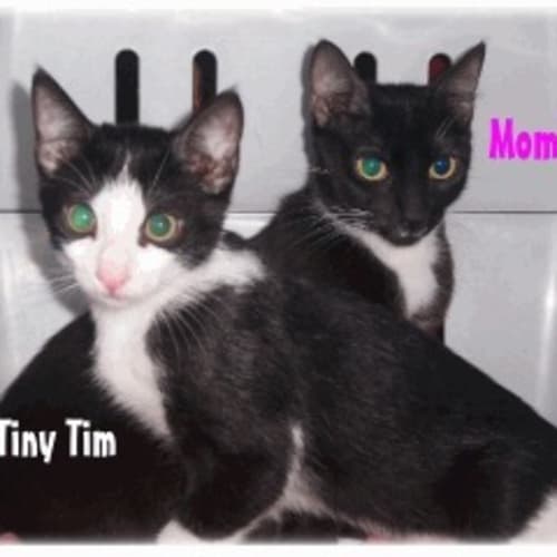 No photo for Momi & Tim