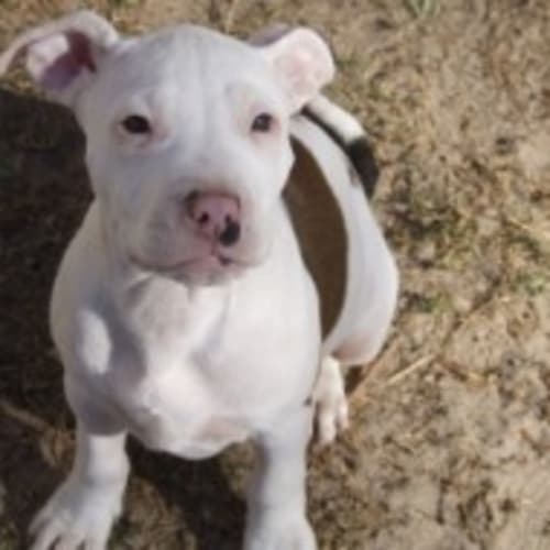 No photo for Estelle