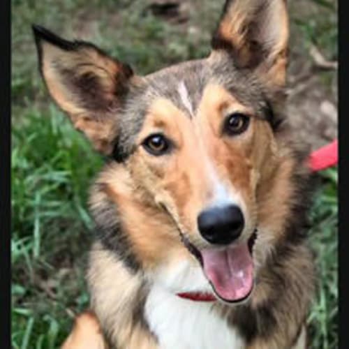 No photo for Shirley