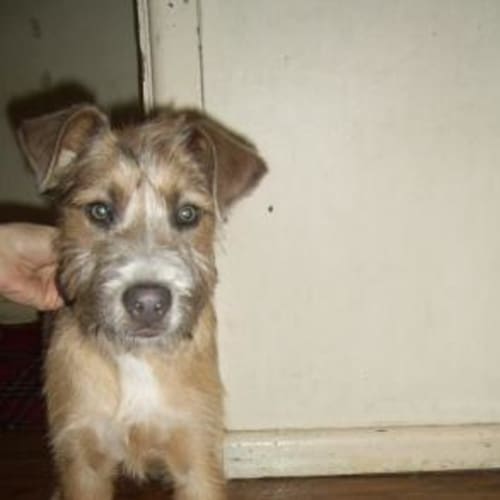 No photo for Humphrey