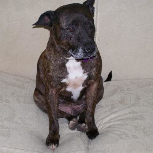 No photo for Whiskey