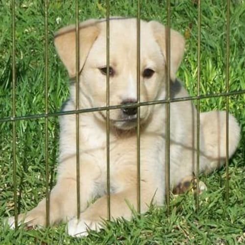 No photo for Faith Is On Hold