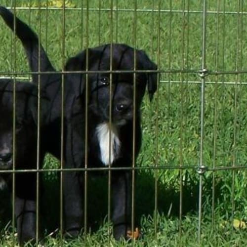 No photo for Ulysses