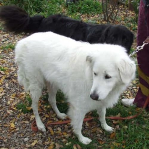 No photo for Bridget