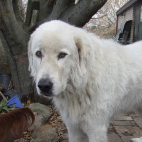 No photo for Gabriel