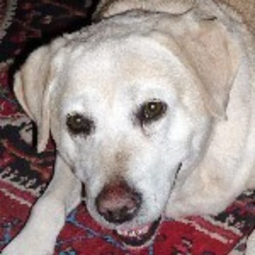 No photo for Florence (Floss)