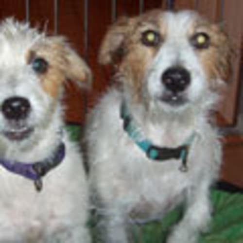 No photo for Zac & Bindi