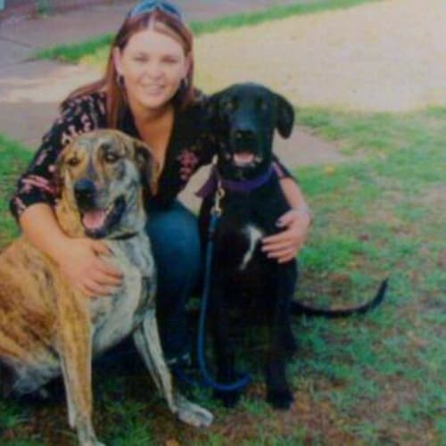 No photo for Shiba And Tara