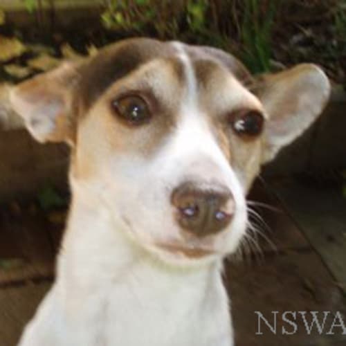 No photo for Chrissy